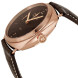 Panerai Radiomir GMT Brown