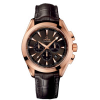 Seamaster Aqua Terra Chronograph