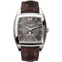 Patek Philippe Men's Complicated Watches