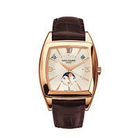 Patek Philippe Men's Complicated Watches
