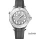 Omega Seamaster Diver 300m 42mm Omega Seamaster Diver 300m 42mm