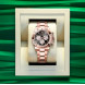 Rolex Cosmograph Daytona Everose gold